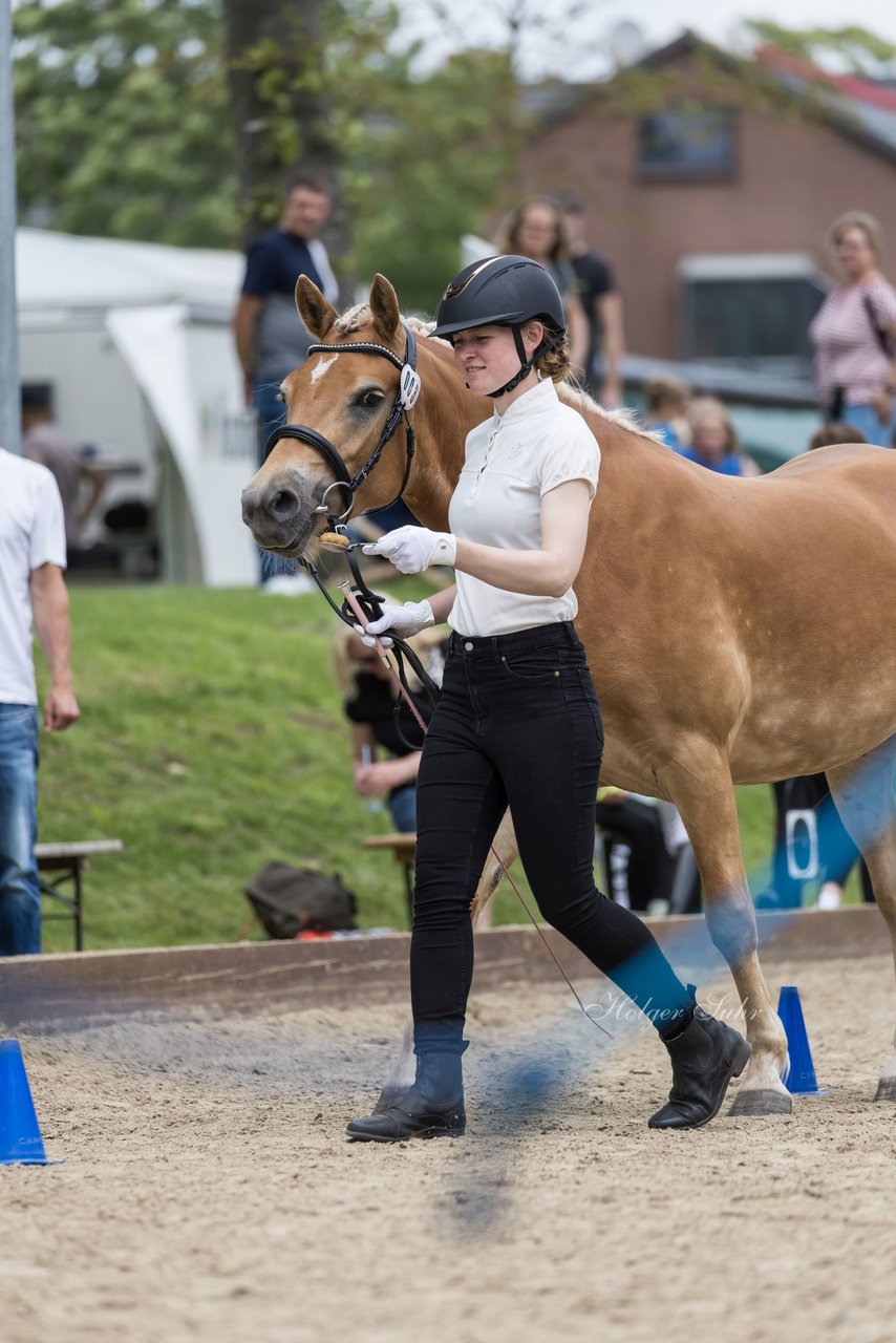 Bild 7 - Pony Akademie Turnier